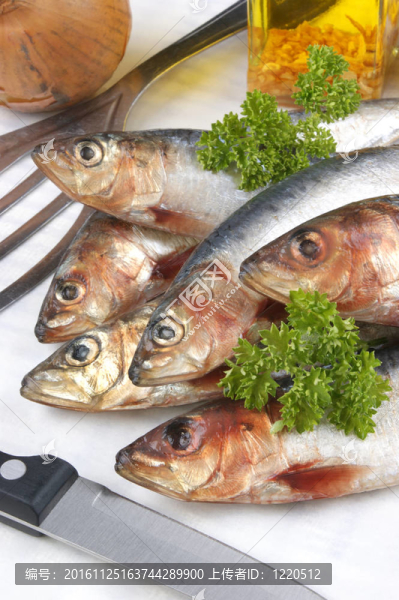 一些新鮮的沙丁油魚烹調(diào)前食物