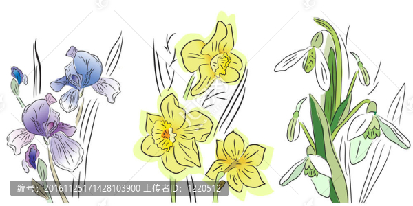 漂亮的花