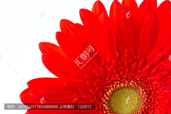 紅太陽