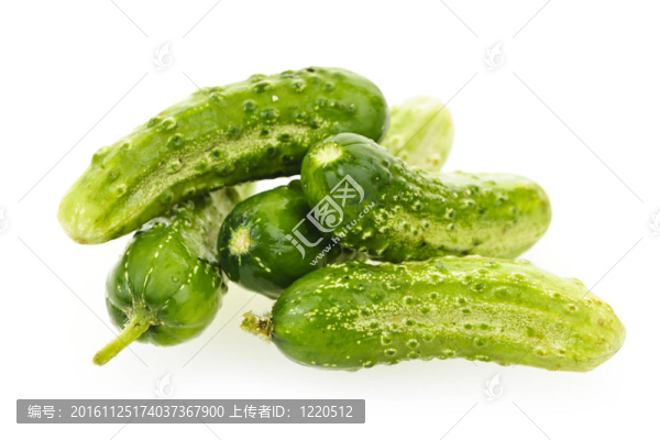 黃瓜白
