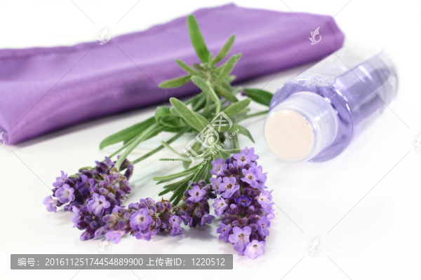 薰衣草