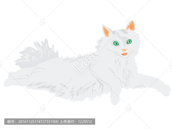 貓的插圖