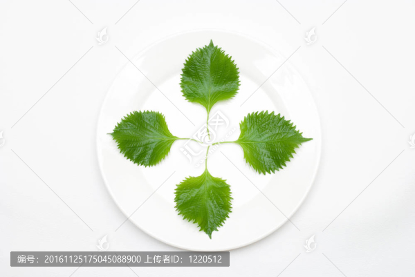 四片葉子