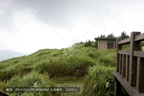 陽明山的看法