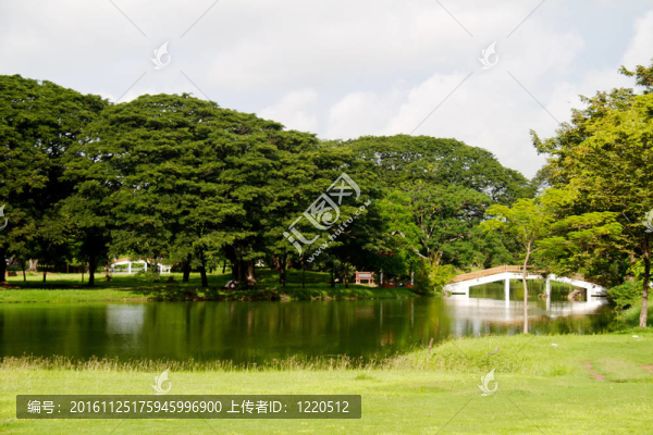 叢林中的河流；泰國(guó)