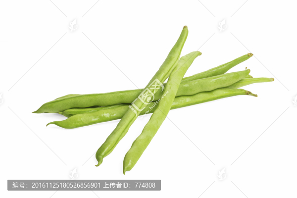 四季豆