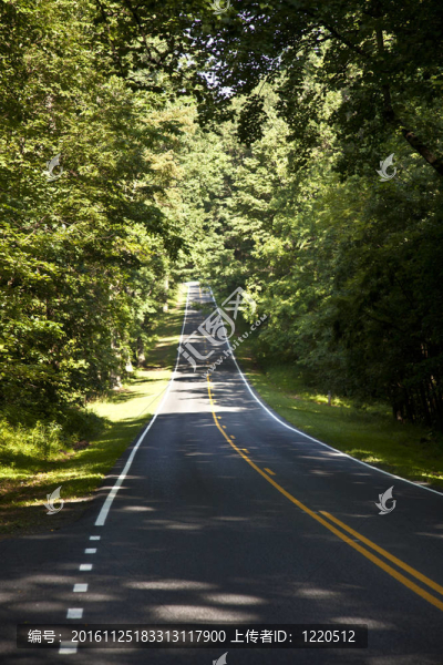 風(fēng)景秀麗的鄉(xiāng)村公路曲線通過仙南渡國家公園。