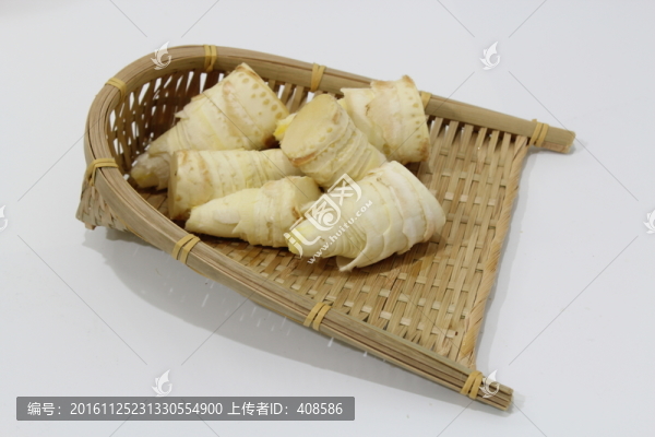 冬筍與簸箕
