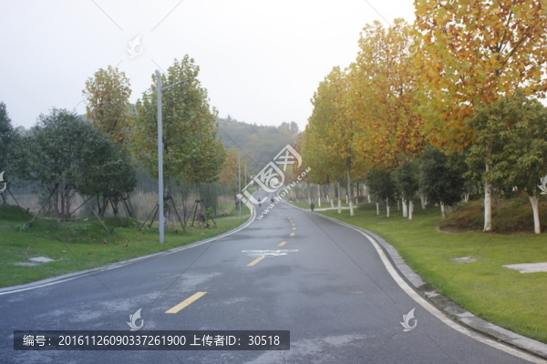 午后陽光下公園景色