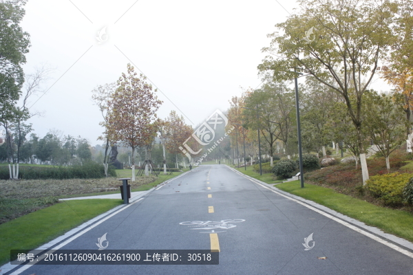 午后陽光下公園景色