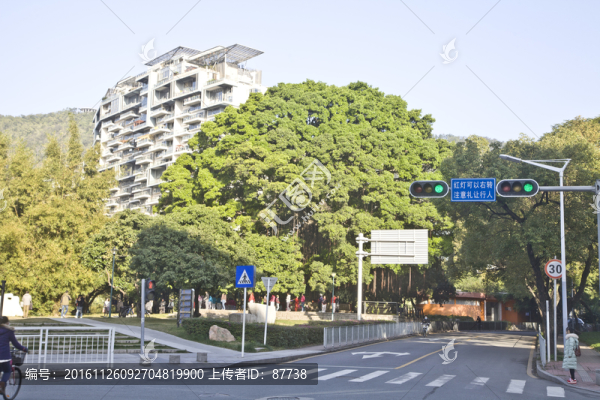 深圳