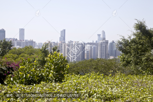 深圳