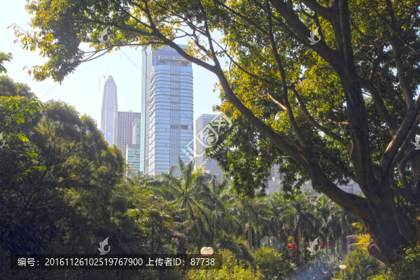 深圳