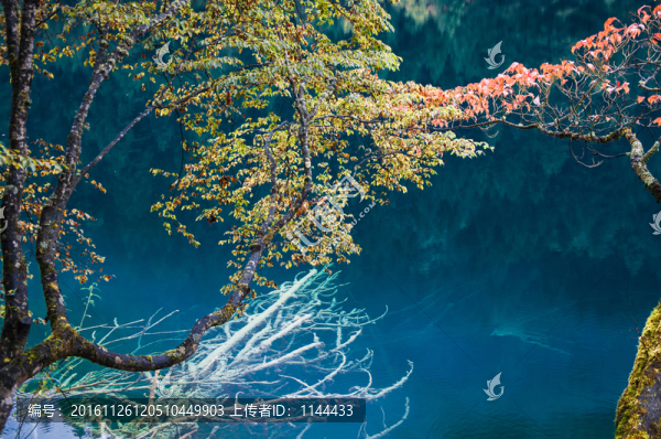 九寨溝,風(fēng)光