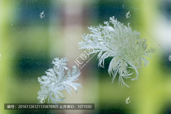 冰窗花