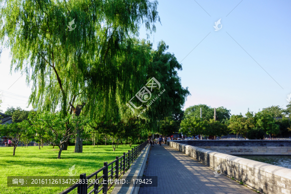 北京故宮筒子河草坪柳樹(shù)