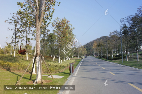 午后陽光下公園景色