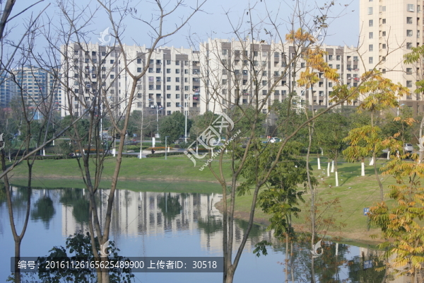 家之湖邊景色