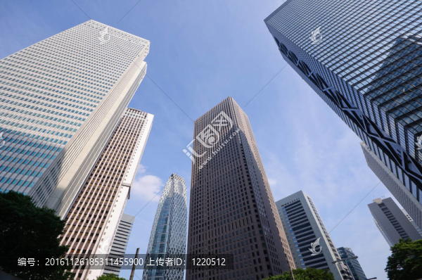 東京；日本