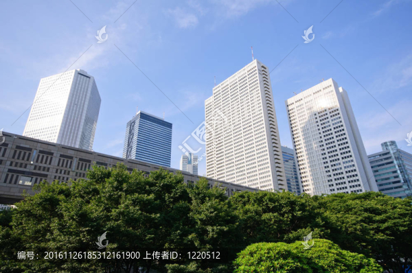 東京；日本