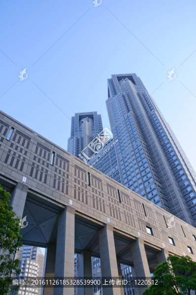 東京；日本