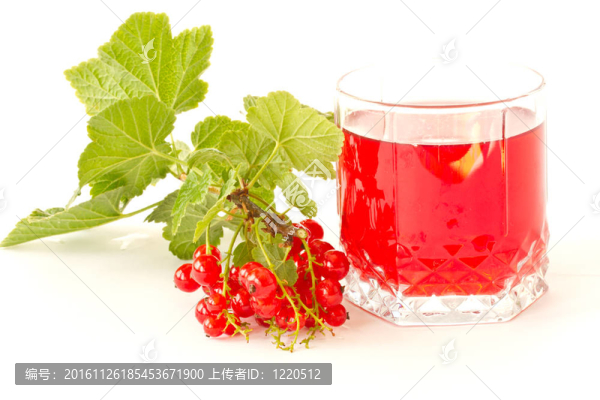紅醋栗果醬