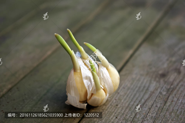 大蒜