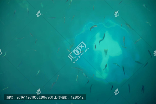 水下交通標(biāo)志