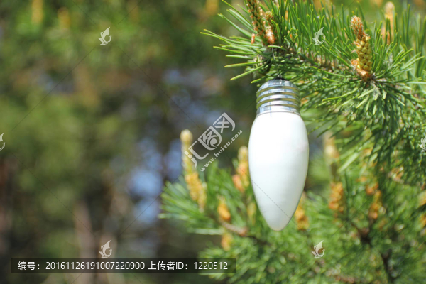 生態(tài)能源的概念
