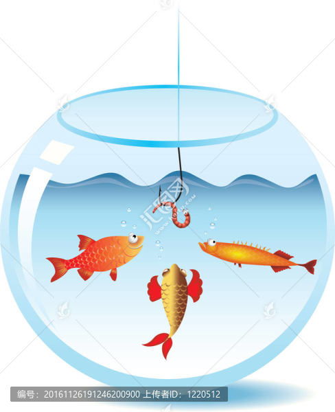 魚(yú)在魚(yú)缸