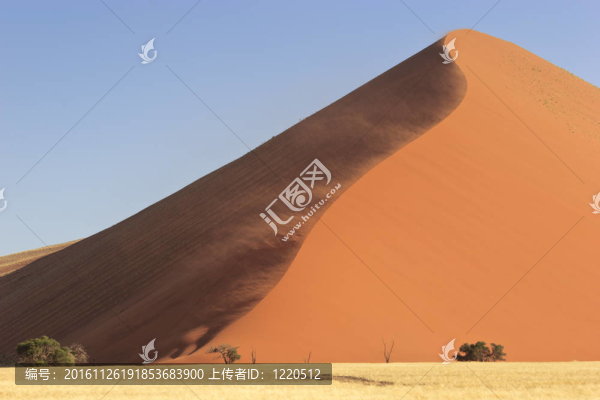 大沙丘