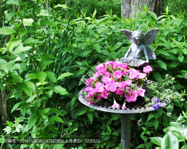 花園顯示