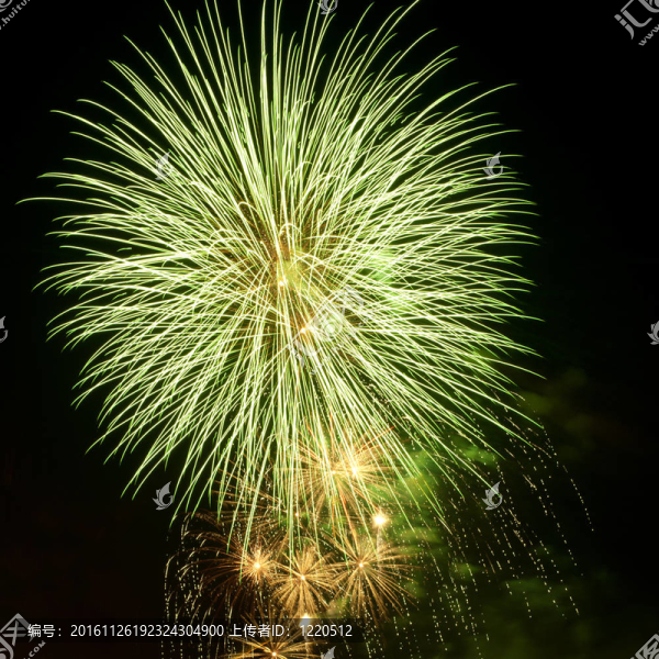 明亮多彩的煙花在夜空