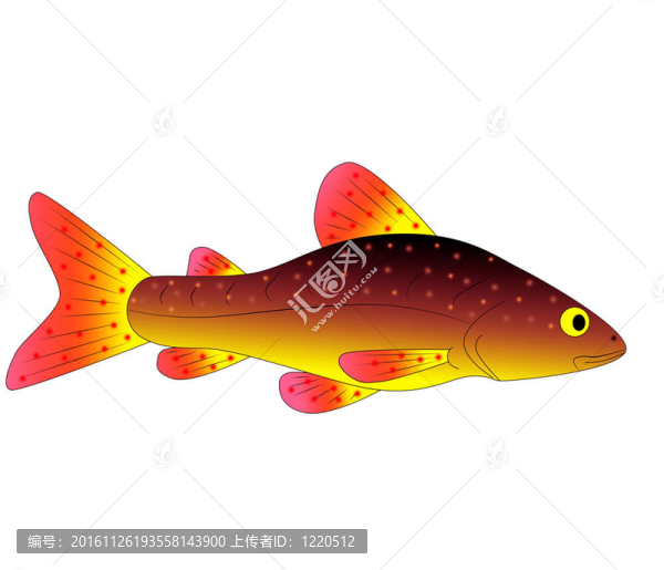 五顏六色的玩具魚