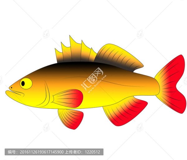五顏六色的玩具魚