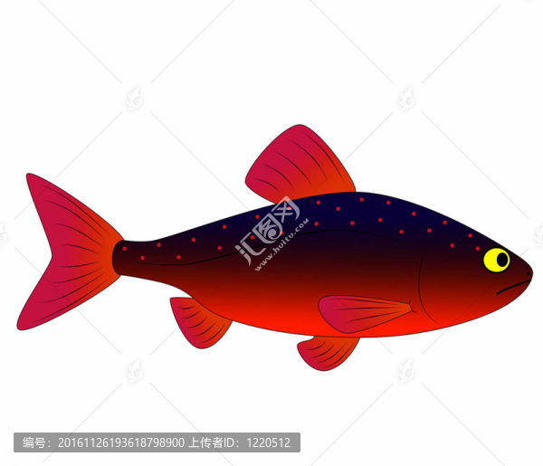 五顏六色的玩具魚(yú)