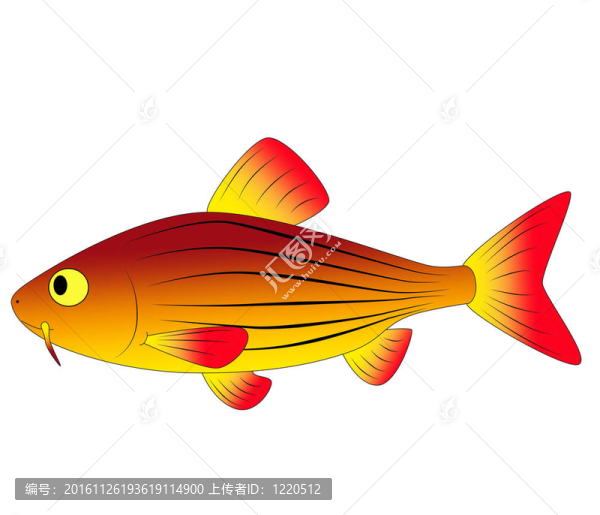 五顏六色的玩具魚