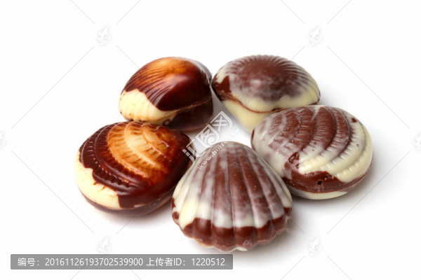 比利時海貝殼巧克力