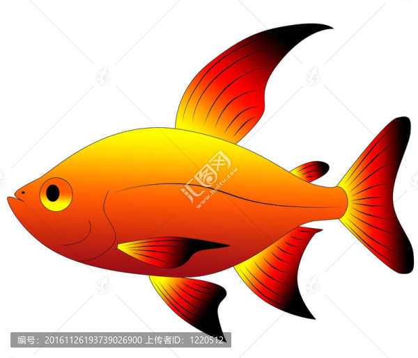 五顏六色的魚(yú)