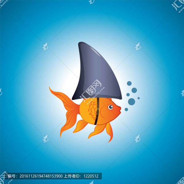金魚的鯊魚
