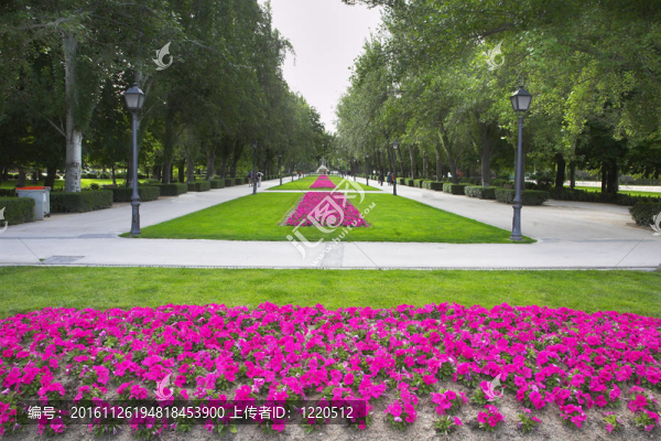 馬德里公園Buen,Retiro
