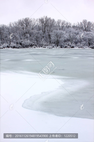 伊利諾斯雪湖降雪