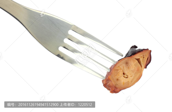 叉上的小章魚