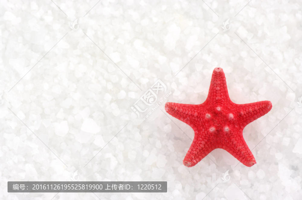 沐浴鹽海星