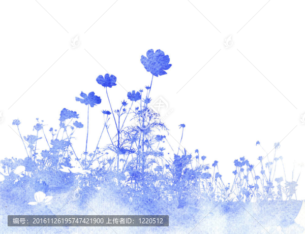 藍色的花
