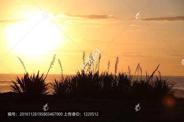 日落