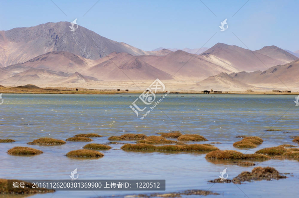 西藏的風(fēng)景