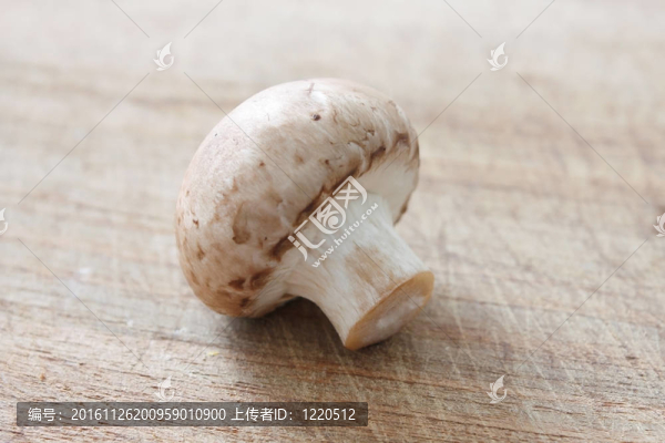 褐蘑菇