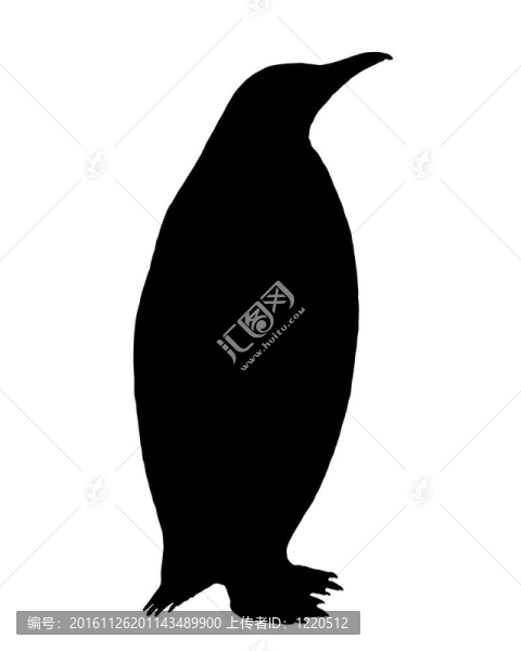 企鵝的剪影