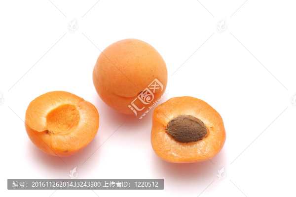 白色背景上的杏